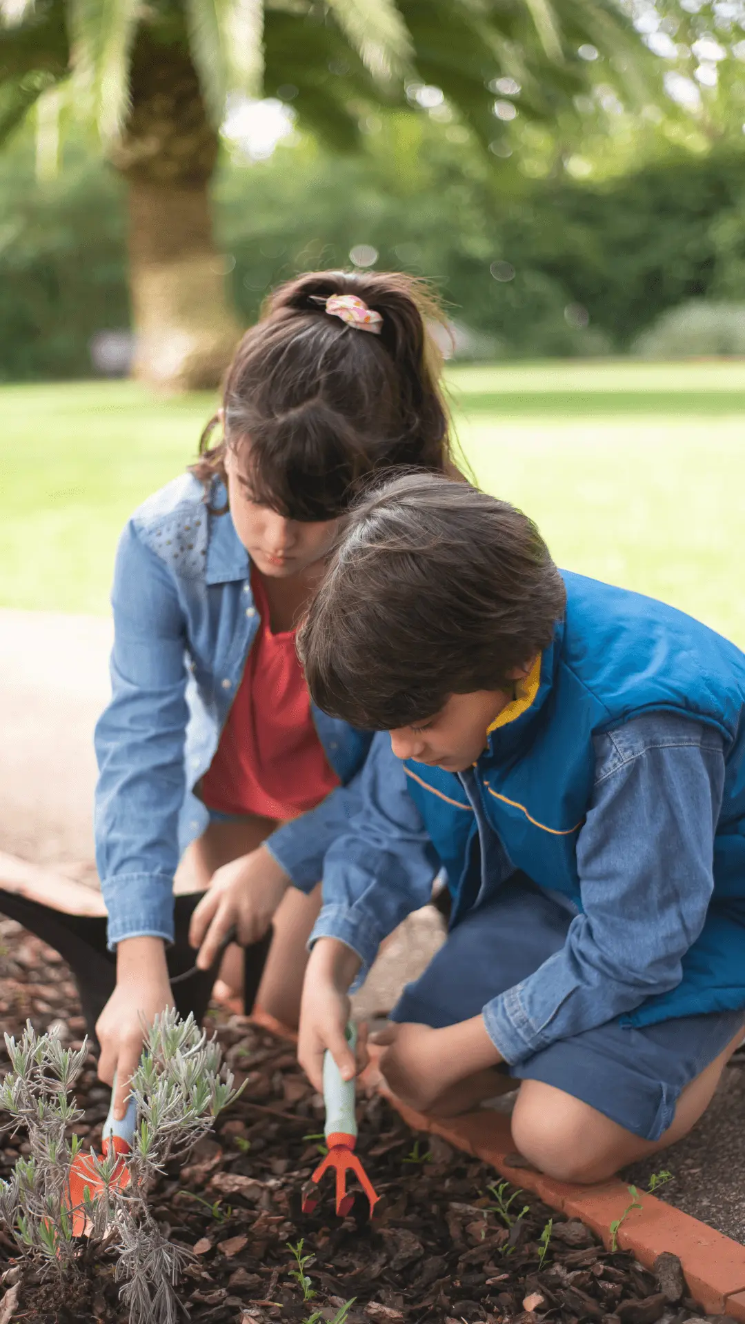 Hands on Garden